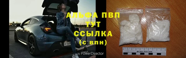 тгк Арсеньев