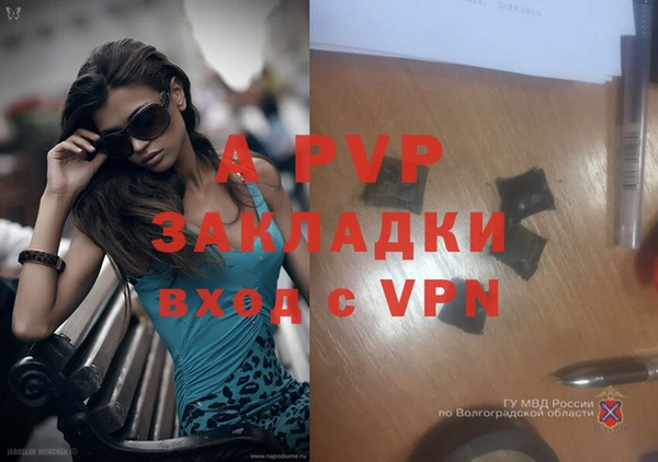 тгк Арсеньев