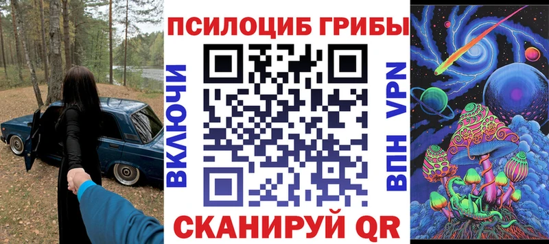 гидра ссылки  Аркадак  Псилоцибиновые грибы Cubensis 