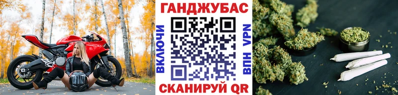 omg как войти  Аркадак  МАРИХУАНА сатива 